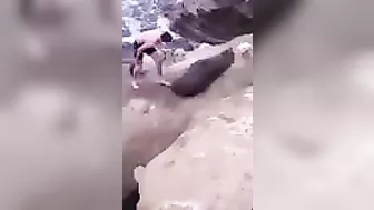 Try Hugging A Seal