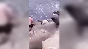 Try Hugging A Seal