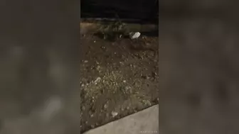 Two People Hospitalized After Wheelie In Colombia