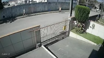 The Ruthless Idiot Punched The Old Guy Unconscious