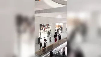 Witness A Group Of Low-class People Robbing An Apple Store In Broad Daylight