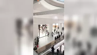 Witness A Group Of Low-class People Robbing An Apple Store In Broad Daylight