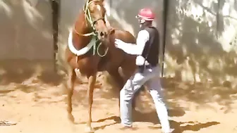 Well, Just Hang Out And You'll Find Out, You Bastard
