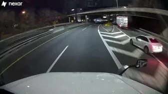 Well, That's Stupid.
