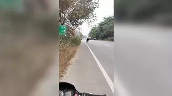 Stunt Lift Attempt Ends In Head-on Collision