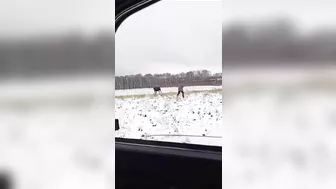 When Things Don’t Go As Planned