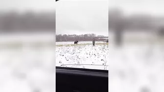When Things Don’t Go As Planned