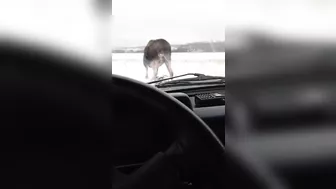 When Things Don’t Go As Planned