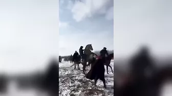 If The Horse Wants To Play, You Better Walk Away