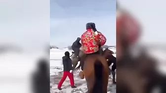 If The Horse Wants To Play, You Better Walk Away