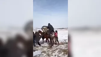If The Horse Wants To Play, You Better Walk Away