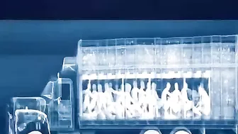 Where Do Illegal Immigrants Hide When They Drive Across The Border?