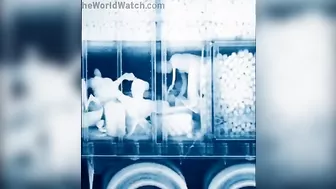 Where Do Illegal Immigrants Hide When They Drive Across The Border?