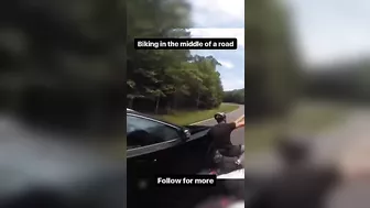 Why You Shouldn't Ride Your Bike In The Middle Of The Street