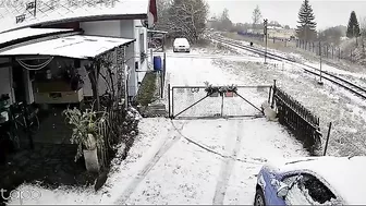 Wild Boars Are No Joke