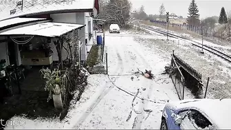 Wild Boars Are No Joke