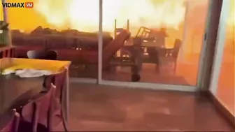 Wild Video, Pure Nightmare Material, Features Two Men And A Dog