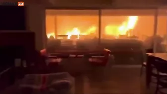 Wild Video, Pure Nightmare Material, Features Two Men And A Dog