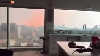 Wild Video, Pure Nightmare Material, Features Two Men And A Dog