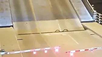 Woman Falls Down While Riding Bicycle