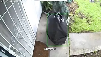 The World's Sneakiest Thief Is Finally Caught On Camera