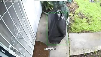 The World's Sneakiest Thief Is Finally Caught On Camera