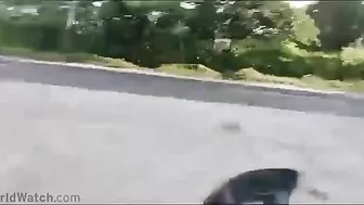 Worst Driver Today