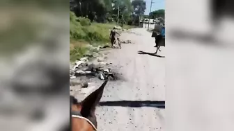 Mexican Farmers Are Not Being Robbed