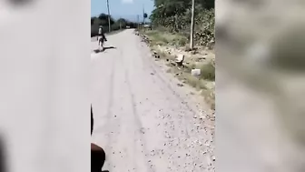 Mexican Farmers Are Not Being Robbed