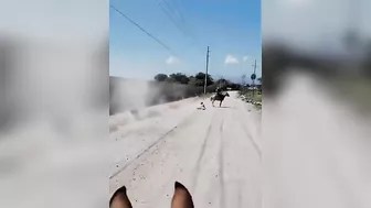 Mexican Farmers Are Not Being Robbed