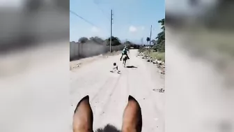 Mexican Farmers Are Not Being Robbed