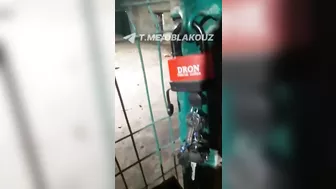 Zookeeper Eaten Alive By Lion Trying To Impress Girlfriend