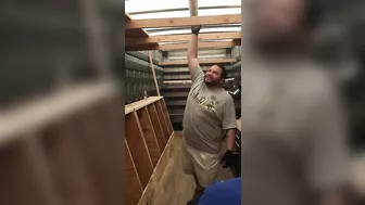 Test The Bar By Jumping Up And Grabbing It