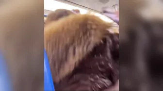 1 Rule: Never Keep Your Hands On Yourself