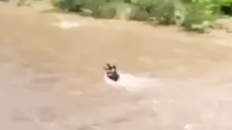 3 Young People Died After Being Washed Away