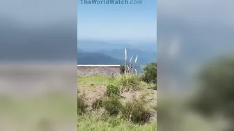 52-year-old Man Dies In Hang Glider Crash