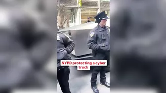 9 Police Officers Protect Nazi Symbol