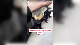 9 Police Officers Protect Nazi Symbol