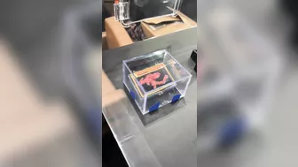 Pokémon Charizard-shaped Cheetos Cost Nearly