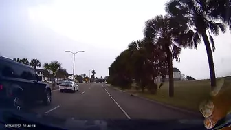 Dodge Challenger Driving Overspeed OC