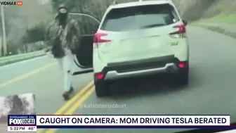 A Complete Left-wing Lunatic Chased Down A Woman Driving A Tesla And Stopped Her