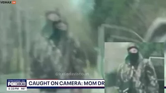 A Complete Left-wing Lunatic Chased Down A Woman Driving A Tesla And Stopped Her