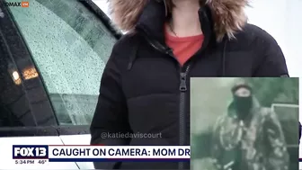 A Complete Left-wing Lunatic Chased Down A Woman Driving A Tesla And Stopped Her