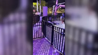 The Killer Attraction Passengers Must See At The Start Of The Ride