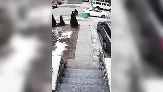 Across The Sidewalk, He Chose Ice Cream What Could Gownrong