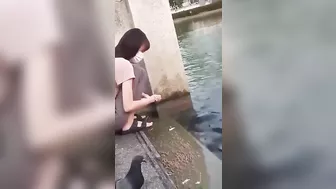 Looks Like It's In Thailand