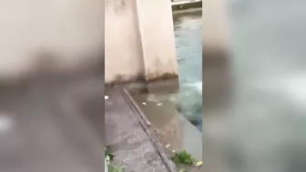 Looks Like It's In Thailand