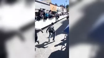 Another Bull's Anal Search