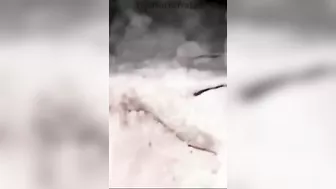 Arachnophobia: This Is The Only Place To Sleep