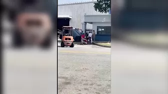 It's A Bad Day To Be A Security Guard Here At This Hour.